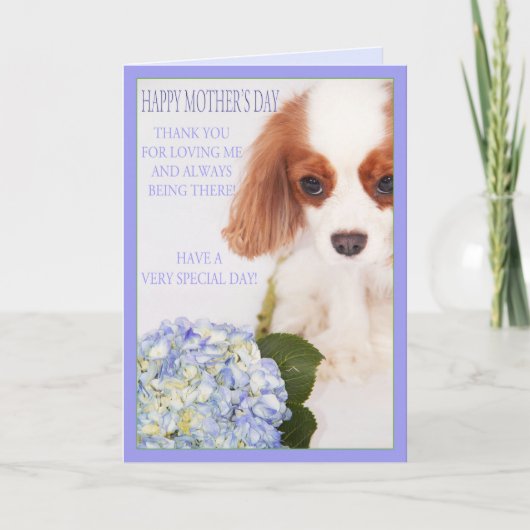 Happy Moederdag Cavalier met Hydrangea Kaart (Voorkant)
