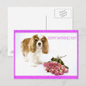 Happy Moederdag Cavalier met Rose Bouquet Briefkaart (Voorkant / Achterkant)