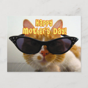 Happy Moederdag Cool Cat in Sunbril Briefkaart