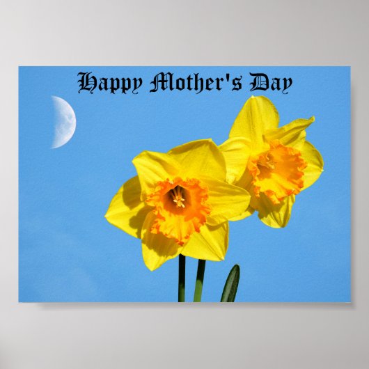 Happy Moederdag Daffodils Gold Medal Poster (Voorkant)