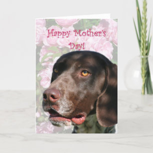 Happy Moederdag Duitse kortharige pointer Kaart
