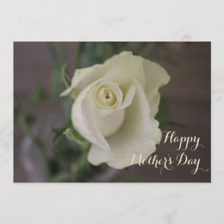 Happy Moederdag Elegant White Rose Kaart