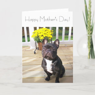 Happy Moederdag Franse Bulldog w/Flowers Kaart
