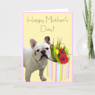Happy Moederdag French Bulldog wenskaart Kaart