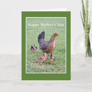 Happy Moederdag Hen en Chicken Kaart