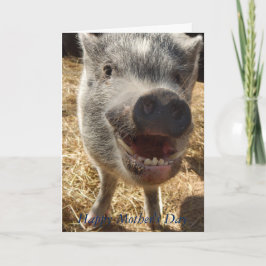 Happy Moederdag, Mini Pig Wenskaart, Kaart