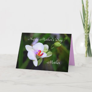 Happy Moederdag Moeder Phalaenopsis Orchid Card Kaart
