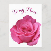 Happy Moederdag Mum hot pink roos floral