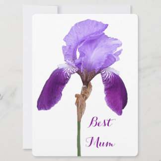 Happy Moederdag paarse iris floral 4 mum Feestdagenkaart