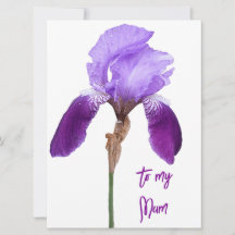 Happy Moederdag paarse iris floral