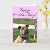 Happy Moederdag Pitbull wenskaart Kaart (Gele Bloem)