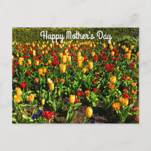 Happy Moederdag Red & Yellow Tulips#1 Briefkaart