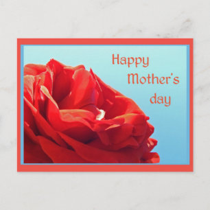 Happy Moederdag - roze roos Briefkaart