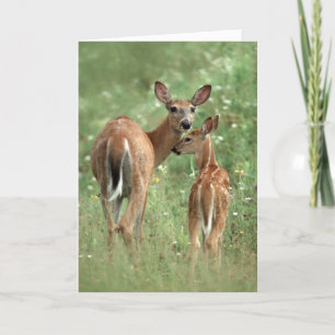 Happy Moederdag White-Tailed Deer Fawn Kaart