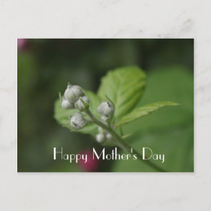 Happy Moederdag, zomer wilde frambozenbloem Briefkaart