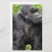 Happy Monkey Briefpapier (Voorkant / Achterkant)