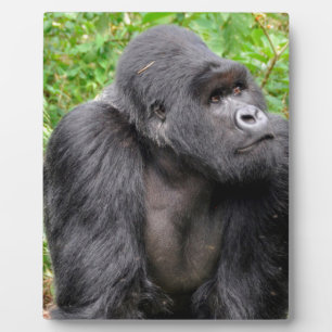 Happy Monkey Fotoplaat