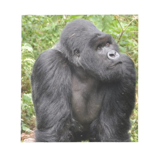 Happy Monkey Notitieblok (Voorkant)