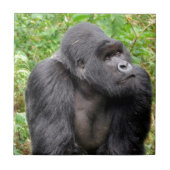 Happy Monkey Tegeltje (Voorkant)