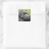 Happy Monkey Vierkante Sticker (Tas)