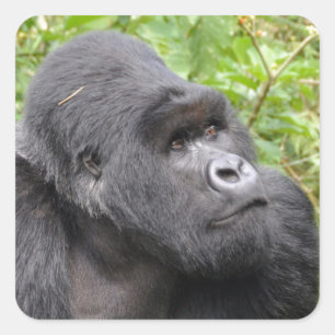 Happy Monkey Vierkante Sticker