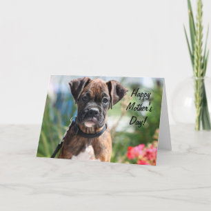 Happy Mother's day boxer greeting card Kaart
