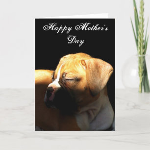 Happy Mother's Day Boxer greeting card Kaart