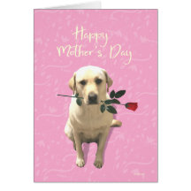 Happy Mothers Day, Labrador Dog Roos, Schattig