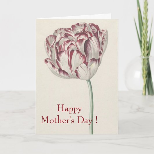 Happy Mothers Day  Red en White Tulip Kaart (Voorkant)