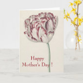 Happy Mothers Day  Red en White Tulip Kaart (Gele Bloem)