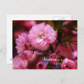 Happy Mothers Day Spring Pink Cherry Blossom Briefkaart (Voorkant / Achterkant)
