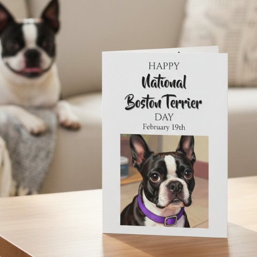 Happy National Boston Terrier Day | Feb 19th Kaart