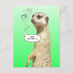 Happy New Year Meerkat Briefkaart Fireworks Green
