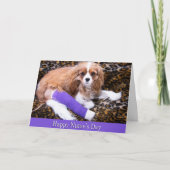 Happy Nurses Day Cavalier King Charles Kaart (Voorkant)