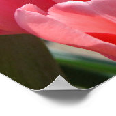 Happy Nurses Week art prints posters (Hoek)