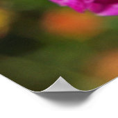 Happy Nurses Week! posters prints Verpleegster RN (Hoek)