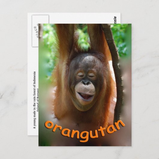 Happy Orangutan Briefkaart (Voorkant / Achterkant)