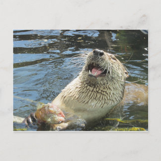 Happy Otter Briefkaart