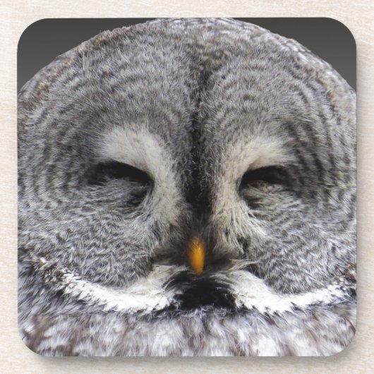 Happy Owl Bier Onderzetter (Voorkant)