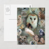Happy Owls Briefkaart (Voorkant / Achterkant)