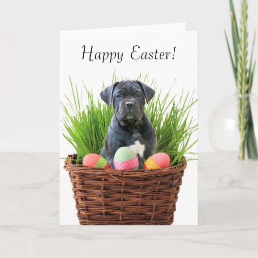 Happy Paascane Corso-wenskaart Feestdagen Kaart (Voorkant)
