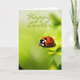 Happy paasladybird op een horthorn-Struik - lente Feestdagen Kaart