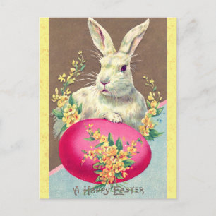  Happy Paast Bunny Rabbit Egg Briefkaart