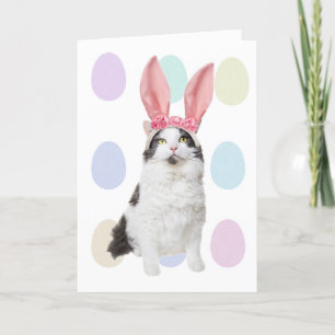 Happy Paast Cat in Bunny Ears Humor Feestdagen Kaart