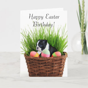 Happy Paaster Birthday Boston Terrier Dog Card Feestdagen Kaart