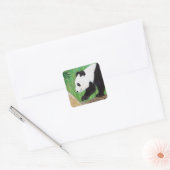 Happy Panda Painting Vierkante Sticker (Envelop)