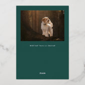 Happy Pawholidays Fun Stars Hondenfoto Folie Feestdagenkaart (Achterkant)