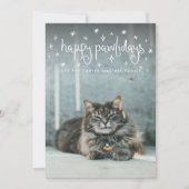 Happy Pawholidays Fun Stars Kattenfoto Feestdagenkaart (Voorkant)