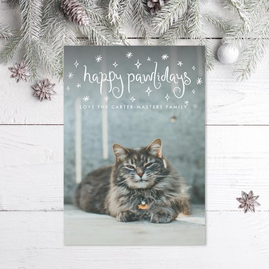 Happy Pawholidays Fun Stars Kattenfoto Feestdagenkaart