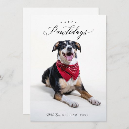 Happy Pawholidays Script Huisdier Kerstkaart (Voorkant / Achterkant)